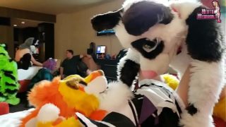 Furry Sex Creampie hentaimegaworld.com