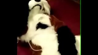 HOT GIRL IN FOX FURSUIT FUCKS HERSELF WITH DILDO