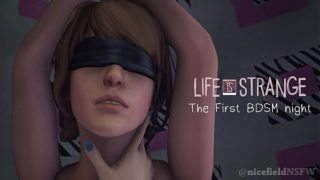 Max and Chloe’s first BDSM night teaser (more coming soon) animated by nicefieldNSFW
