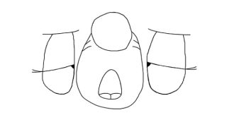 Popplio Moaning Base Animation