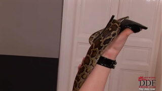 Hot-blooded babe playing with snake