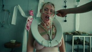 The most beautiful toilet pet in the world